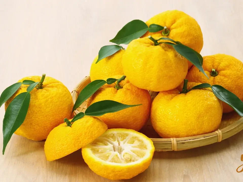 yuzu