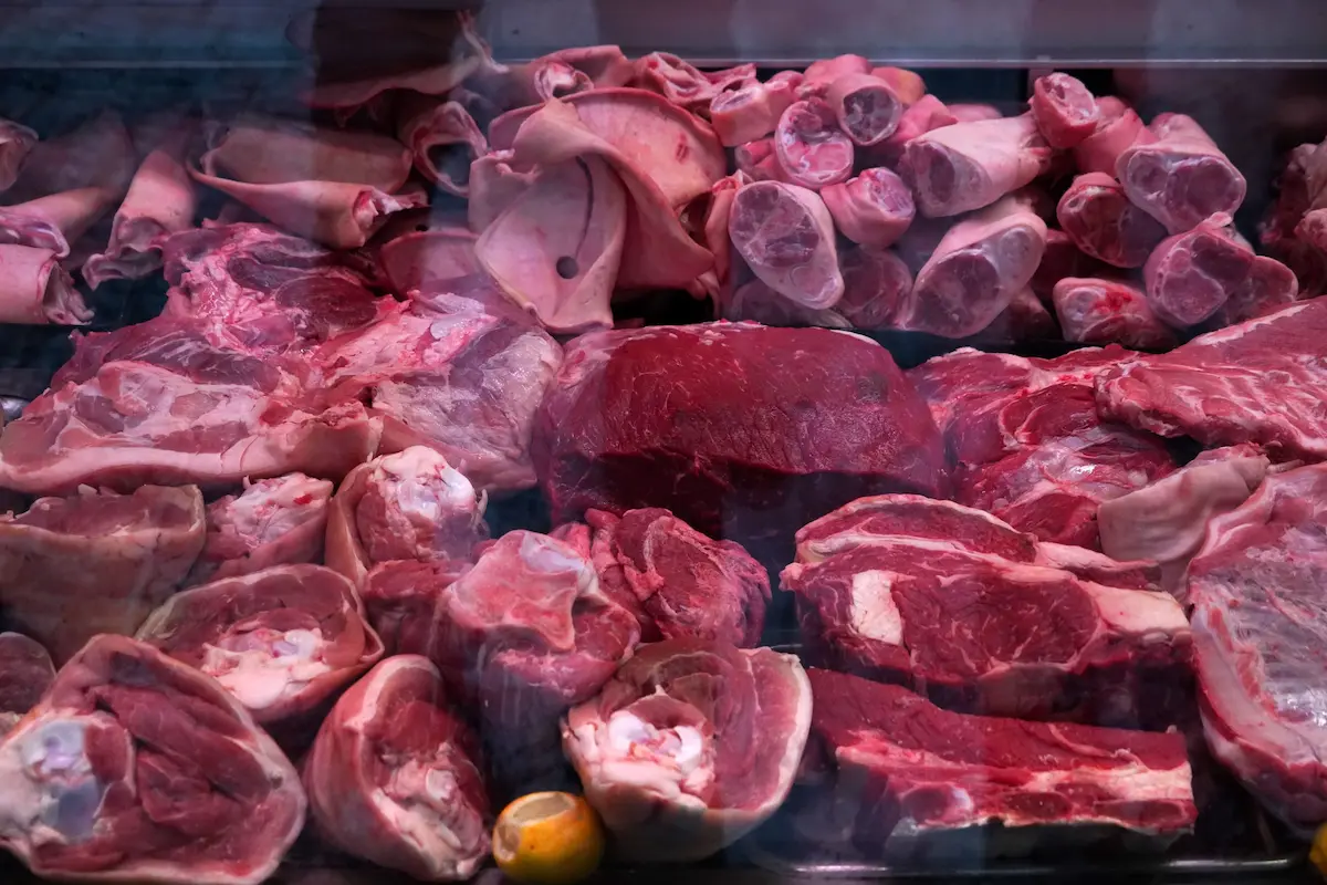 Dieta carnivore (mięsożercy) okiem social mediów